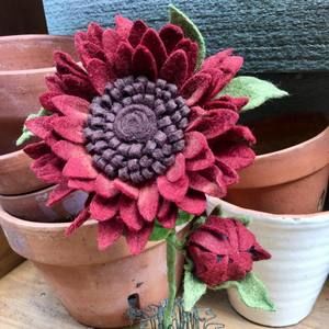 Meet your Posher, Colleen